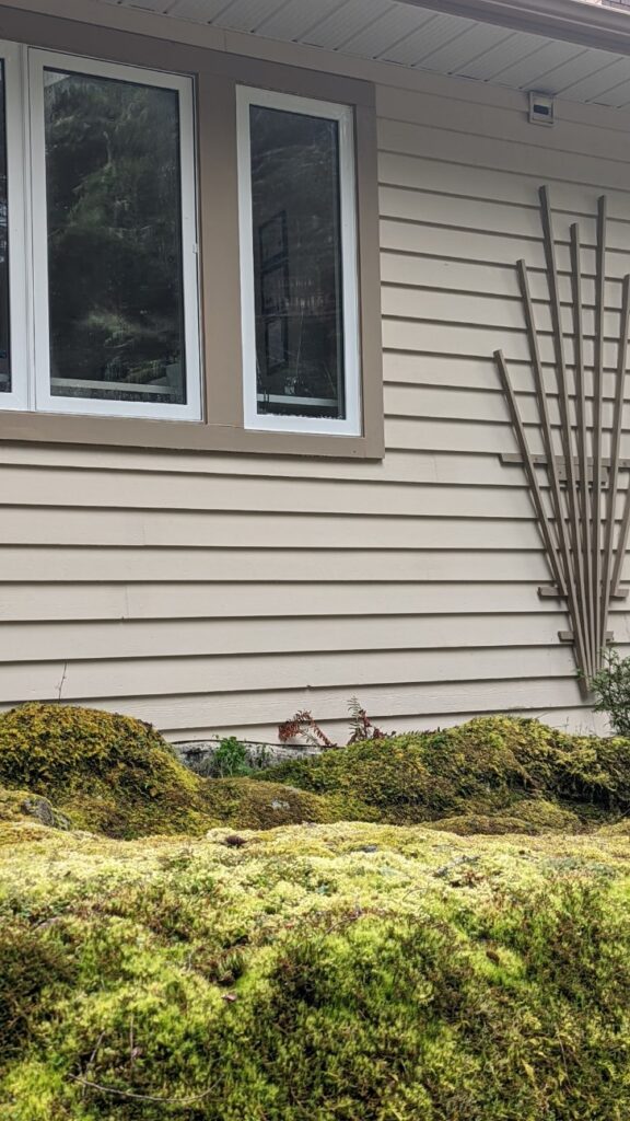 Home siding after cleaning